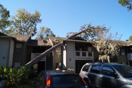 Windstorm Damage Bad Faith Insurance